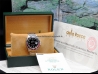 Rolex GMT Master II  Watch  16710 